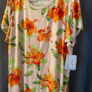 NWT 2X Lularoe Olive